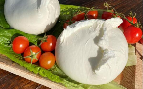 "Bufala Fest - Non solo Mozzarella" a Napoli Edizione 2025